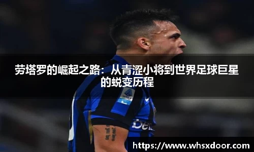 bsports必一体育