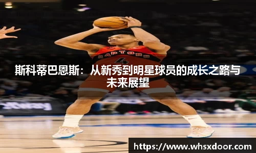 bsports必一体育