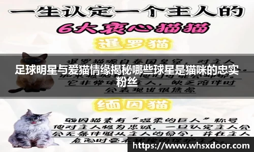 bsports必一体育