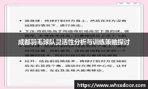 成都羽毛球队灵活性分析与训练策略探讨